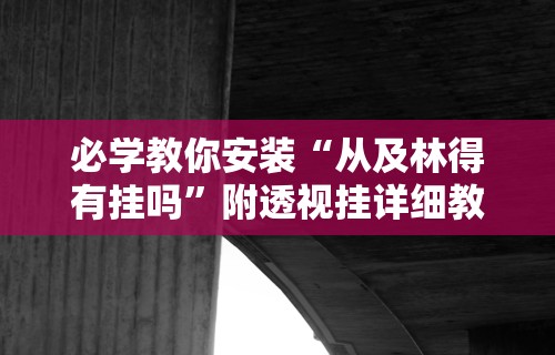 必学教你安装“从及林得有挂吗”附透视挂详细教程 