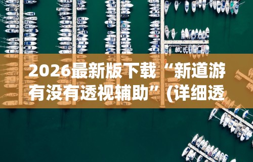 2026最新版下载“新道游有没有透视辅助”(详细透视教程)-