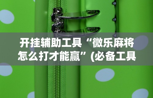 开挂辅助工具“微乐麻将怎么打才能赢	”(必备工具)辅助教学