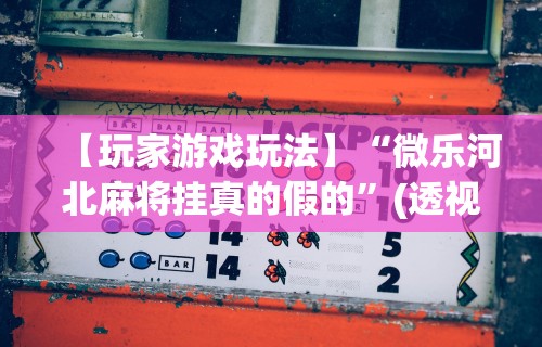 【第一攻略】“微信跑得快小程序怎么开挂”（透视挂）辅助神器教程