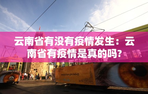 一分钟讲解“天天爱掼蛋记牌器”(透视)开挂辅助脚本+详细开挂安装教程