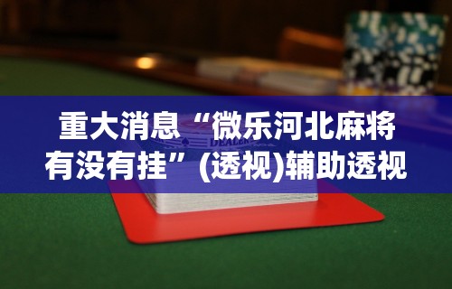 重大消息“微乐河北麻将有没有挂”(透视)辅助透视教程