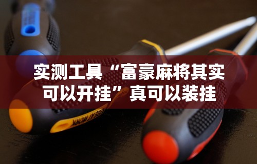 实测工具“富豪麻将其实可以开挂”真可以装挂