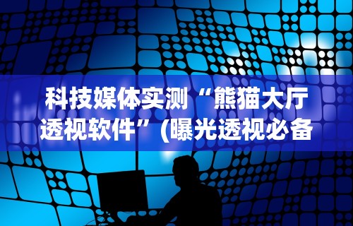 科技媒体实测“熊猫大厅透视软件	”(曝光透视必备猫腻)