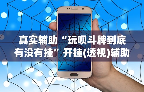 真实辅助“玩呗斗牌到底有没有挂	”开挂(透视)辅助教程