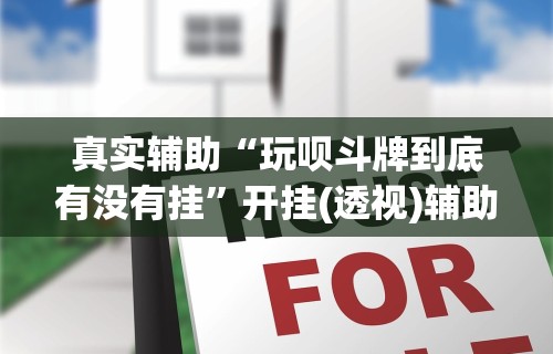 真实辅助“玩呗斗牌到底有没有挂”开挂(透视)辅助教程