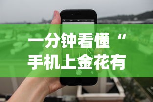 一分钟看懂“手机上金花有人开挂吗	”(详细透视教程)