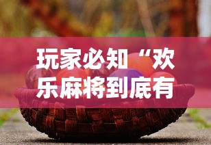 教程解析“财神从娱开挂教程	”掌握辅助功能必胜规则