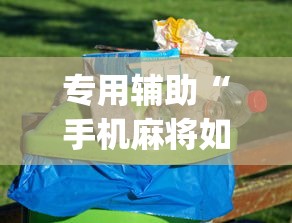 专用辅助“手机麻将如何打才能赢”(原来确实是有挂) 