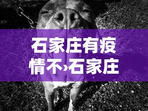 重大来袭“微壳长沙麻将有没有挂”开挂(透视)辅助教程