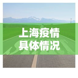 专用辅助“德扑之星有辅助挂通用版”分享用挂教程