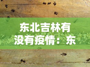 【盘点十款】“微信手机麻将输赢规律”(透视)其实真的有挂