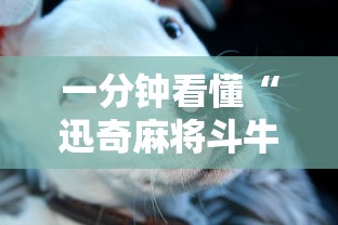 一分钟看懂“迅奇麻将斗牛挂安装”事实上真的有挂