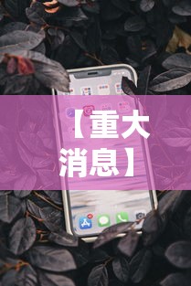 【重大消息】“苹果版手机麻将开挂”揭秘透视辅助万能挂 