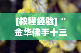 [教程经验]“金华佛手十三道辅助器”真的有挂