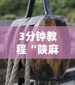 3分钟教程“陕麻圈捉老麻子开挂神器”真的有挂
