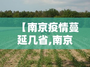 强力推荐“打红中麻将老是输钱要怎样才能赢	”附开挂脚本详细步骤