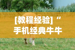 [教程经验]“手机经典牛牛有没有挂”实测确实有挂