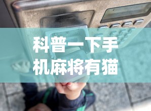 科普一下手机麻将有猫腻吗”开挂(透视)辅助教程