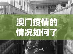 玩家最新攻略“乐山幺鸡麻将打法技巧”真的有挂