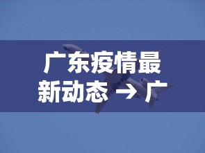 专用辅助“大赢家跑得快挂”确实可以使用辅助