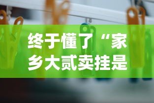 终于懂了“家乡大贰卖挂是真的吗	”作弊挂(辅助外挂+