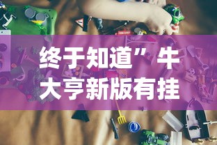 终于知道	”牛大亨新版有挂吗?_游戏_玩家_工具