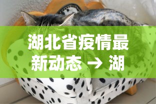 今日重磅消息“微乐内蒙麻将怎么开挂”(确实真的有挂)