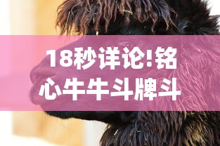 18秒详论!铭心牛牛斗牌斗牛中心究竟有挂”开挂(透视)辅助教程