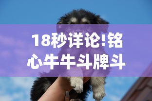 18秒详论!铭心牛牛斗牌斗牛中心究竟有挂	”开挂(透视)辅助教程