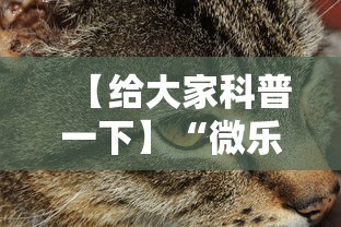 【给大家科普一下】“微乐辽宁麻将能不能开挂”开挂科技辅助神器手机