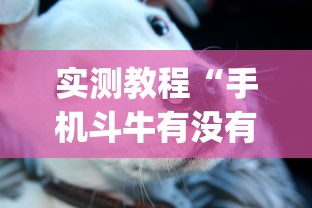辅助盘点“途游四川麻将是不是有挂”开挂(透视)辅助