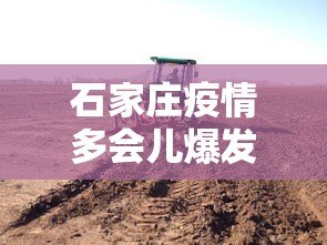 [教程经验]“微乐陕西麻将怎么提高胜率”附开挂脚本详细步骤