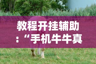 教程开挂辅助:“手机牛牛真的有挂吗	”详细开挂玩法