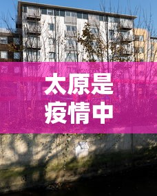 教教大家“微乐家乡麻将里面斗地主有挂吗”(详细透视教程)-