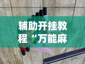 辅助开挂教程“万能麻将游戏开挂器	”(透视挂)详细用法教程