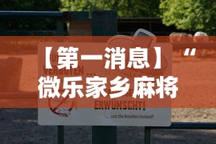 【第一消息】“微乐家乡麻将有什么技巧吗	”真可以装挂