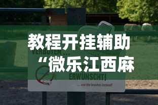 教程开挂辅助“微乐江西麻将怎样开挂”(透视)开挂详细教程