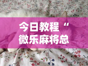 分析必看“微乐山西麻将万能开挂器免费”详细分享装挂步骤教程