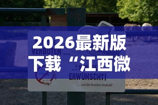 2026最新版下载“江西微乐麻将小程序下载挂”开挂详细教程