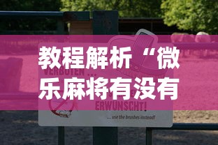 教程解析“微乐麻将有没有诀窍	”(曝光透视必备猫腻)