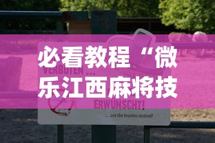 专家分析“微乐吉林麻将有没有挂”附开挂脚本