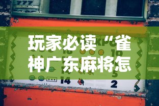 开挂辅助工具“微乐跑得快怎么提高胜率”(透视)开挂辅助脚本+详细开挂安装教程