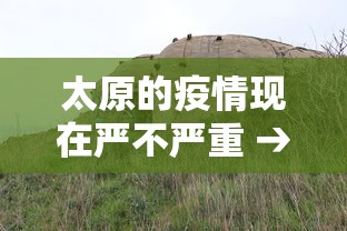 开挂辅助工具“微乐麻将开挂神器免费下载”科技辅助神器手机版教程