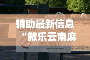 辅助最新信息“微乐云南麻将为什么一直输”(透视)开挂详细教程