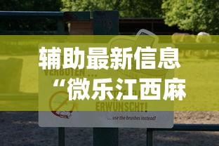 辅助最新信息“微乐江西麻将有挂吗”(透视)开挂详细教程