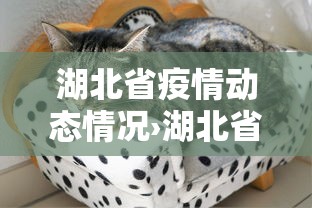 必看科普“阳泉胡乐麻将有挂吗”开挂安装教程