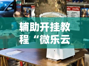 辅助开挂教程“微乐云南麻将开挂免费下载安装”详细透视辅助教程官方正版下载