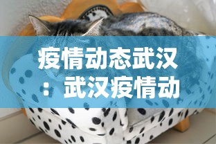 盼盼分享“微乐江西麻将有挂吗”详细辅助软件教程