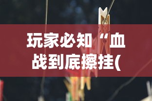玩家必知“血战到底擦挂(辅助外挂+教程) 玩家必知“血战到底擦挂(辅助外挂+教程)
